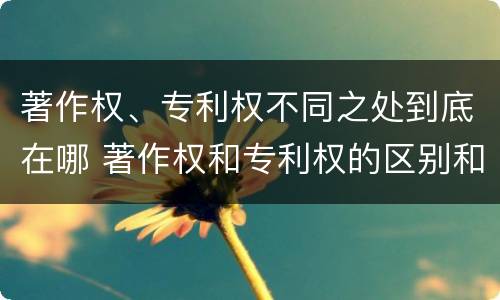 著作权、专利权不同之处到底在哪 著作权和专利权的区别和联系