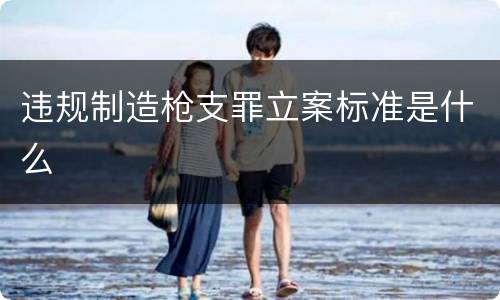 违规制造枪支罪立案标准是什么