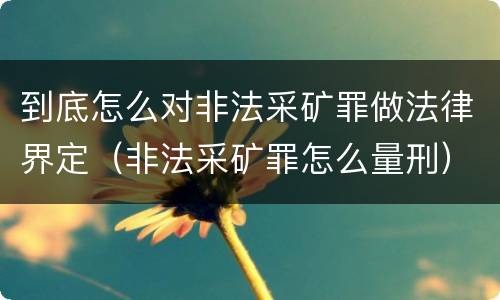 到底怎么对非法采矿罪做法律界定（非法采矿罪怎么量刑）