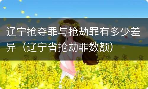 辽宁抢夺罪与抢劫罪有多少差异（辽宁省抢劫罪数额）