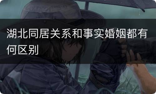 湖北同居关系和事实婚姻都有何区别