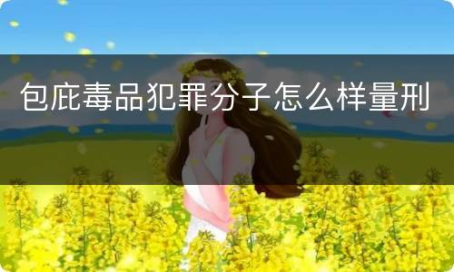 包庇毒品犯罪分子怎么样量刑