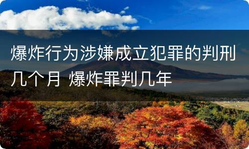 爆炸行为涉嫌成立犯罪的判刑几个月 爆炸罪判几年