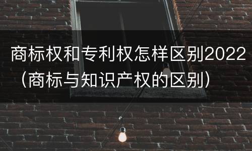 商标权和专利权怎样区别2022（商标与知识产权的区别）