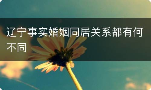 辽宁事实婚姻同居关系都有何不同