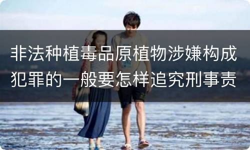 非法种植毒品原植物涉嫌构成犯罪的一般要怎样追究刑事责任