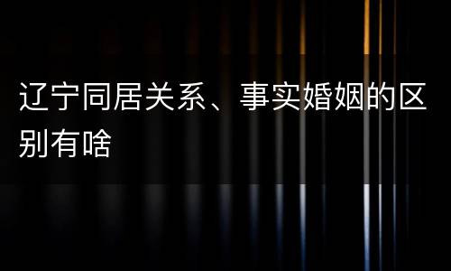 辽宁同居关系、事实婚姻的区别有啥