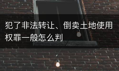 犯了非法转让、倒卖土地使用权罪一般怎么判