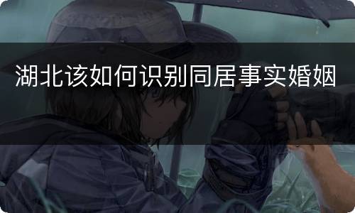 湖北该如何识别同居事实婚姻