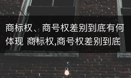 商标权、商号权差别到底有何体现 商标权,商号权差别到底有何体现呢