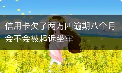 信用卡欠了两万四逾期八个月会不会被起诉坐牢