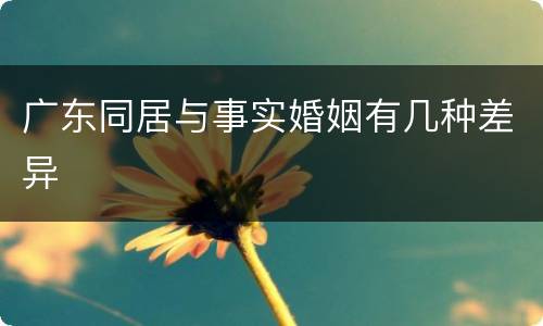 广东同居与事实婚姻有几种差异