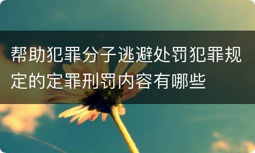 帮助犯罪分子逃避处罚犯罪规定的定罪刑罚内容有哪些