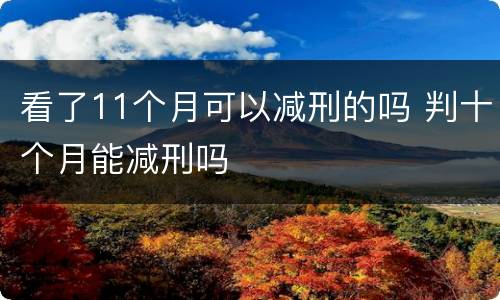 看了11个月可以减刑的吗 判十个月能减刑吗