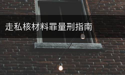 走私核材料罪量刑指南