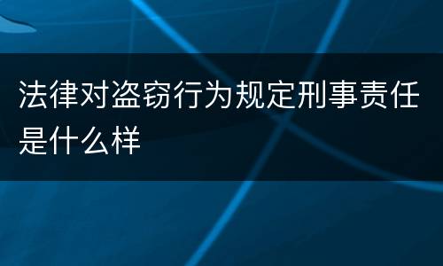 法律对盗窃行为规定刑事责任是什么样