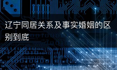 辽宁同居关系及事实婚姻的区别到底
