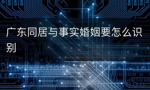 广东同居与事实婚姻要怎么识别