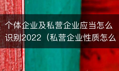 个体企业及私营企业应当怎么识别2022（私营企业性质怎么认定）