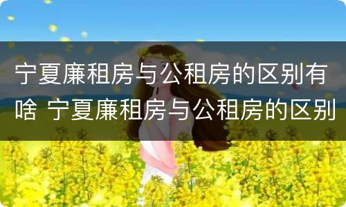 宁夏廉租房与公租房的区别有啥 宁夏廉租房与公租房的区别有啥不同