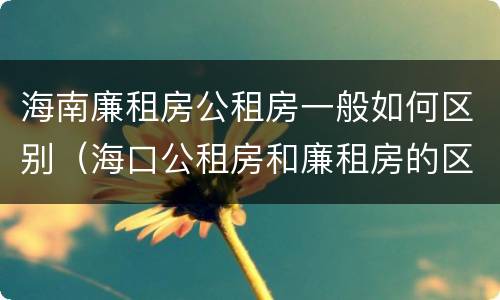 海南廉租房公租房一般如何区别（海口公租房和廉租房的区别）