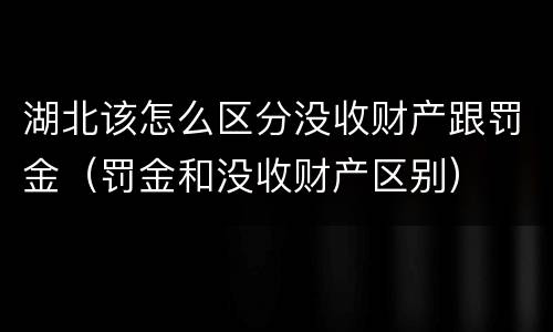 湖北该怎么区分没收财产跟罚金（罚金和没收财产区别）