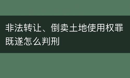 非法转让、倒卖土地使用权罪既遂怎么判刑