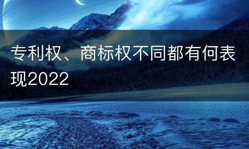 专利权、商标权不同都有何表现2022