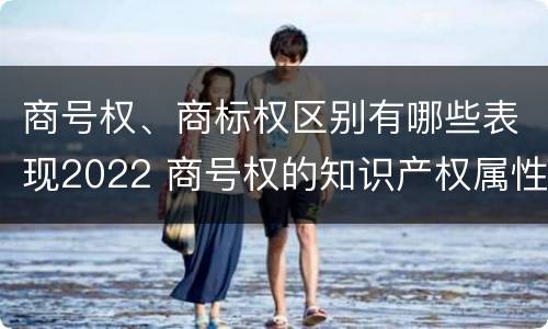 商号权、商标权区别有哪些表现2022 商号权的知识产权属性