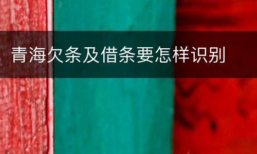 青海欠条及借条要怎样识别