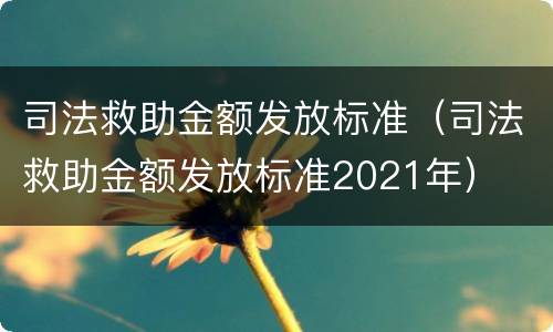 司法救助金额发放标准（司法救助金额发放标准2021年）