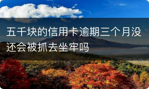 五千块的信用卡逾期三个月没还会被抓去坐牢吗