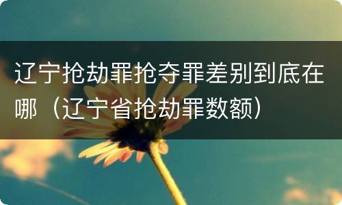 辽宁抢劫罪抢夺罪差别到底在哪（辽宁省抢劫罪数额）