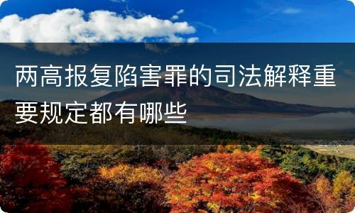 两高报复陷害罪的司法解释重要规定都有哪些
