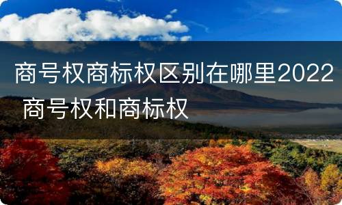 商号权商标权区别在哪里2022 商号权和商标权