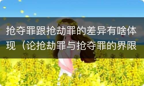 抢夺罪跟抢劫罪的差异有啥体现（论抢劫罪与抢夺罪的界限）