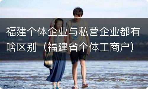福建个体企业与私营企业都有啥区别（福建省个体工商户）