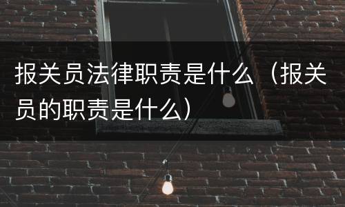 报关员法律职责是什么（报关员的职责是什么）