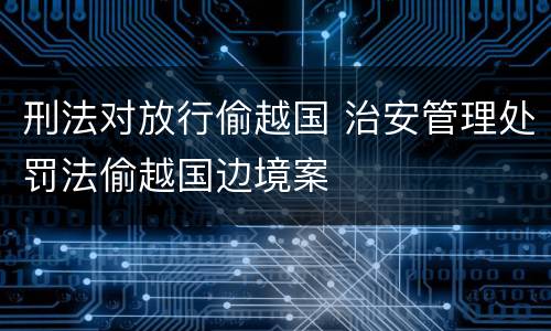 刑法对放行偷越国 治安管理处罚法偷越国边境案