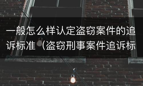 一般怎么样认定盗窃案件的追诉标准（盗窃刑事案件追诉标准）
