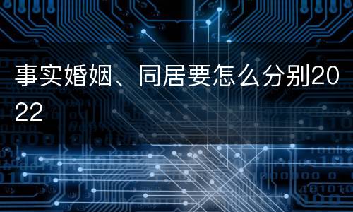 事实婚姻、同居要怎么分别2022