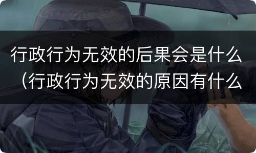 行政行为无效的后果会是什么（行政行为无效的原因有什么）