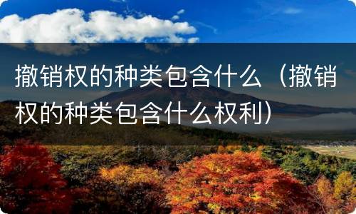 撤销权的种类包含什么（撤销权的种类包含什么权利）
