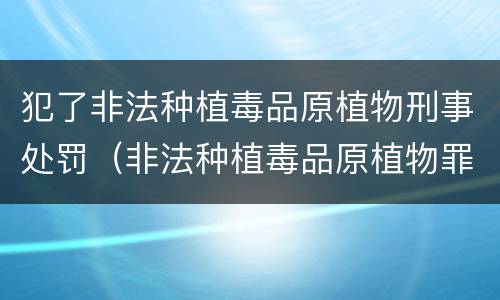 犯了非法种植毒品原植物刑事处罚（非法种植毒品原植物罪情节严重）