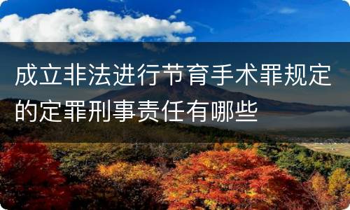 成立非法进行节育手术罪规定的定罪刑事责任有哪些