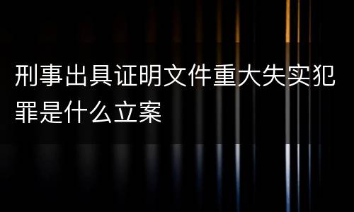 刑事出具证明文件重大失实犯罪是什么立案
