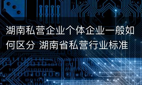 湖南私营企业个体企业一般如何区分 湖南省私营行业标准
