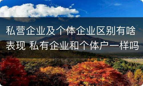 私营企业及个体企业区别有啥表现 私有企业和个体户一样吗