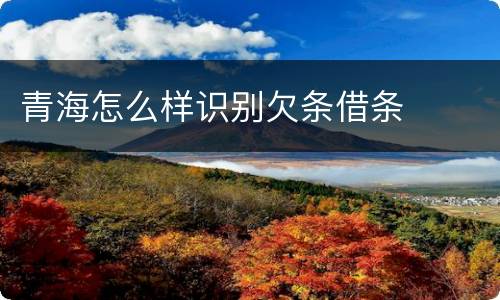 青海怎么样识别欠条借条