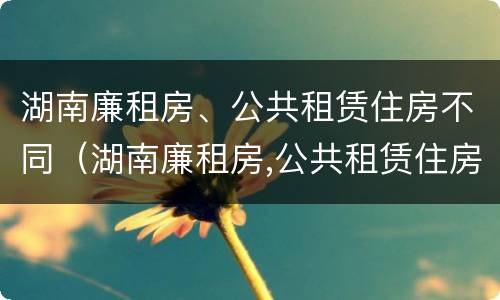 湖南廉租房、公共租赁住房不同（湖南廉租房,公共租赁住房不同的原因）